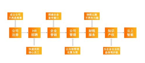 科技普惠新篇章 阿里云以数字技术服务驱动中小企业数字化转型