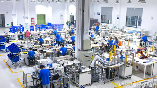 捂了三年，阿里的犀牛工厂到底在“织”什么？